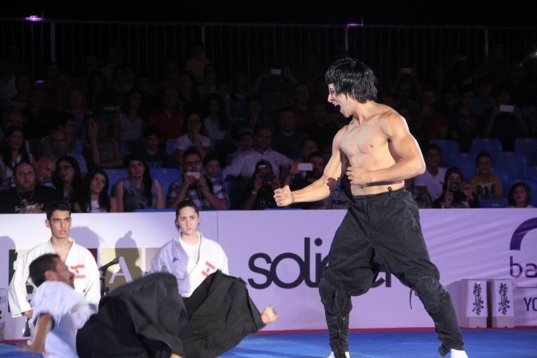 Martial Arts Festival